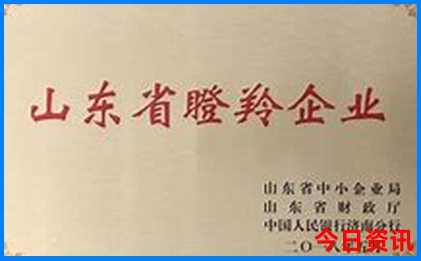 贵州夏天最凉快的城市